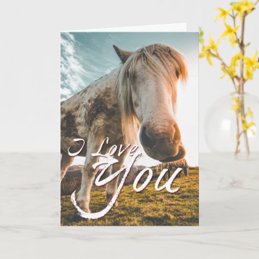 Ik hou van je met uitziende paarden kaart (Gele Bloem)