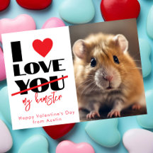 Ik hou van je mijn hamster grappige Valentijnsdag