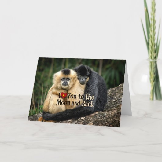 Ik hou van je naar de maan en terug kaart (Voorkant)