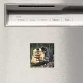 Ik hou van je naar de maan en terug magneet (Insitu (Vaatwasser))