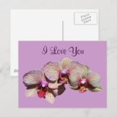 Ik hou van je orchidee Trio Flower Photo Briefkaar Briefkaart (Voorkant / Achterkant)
