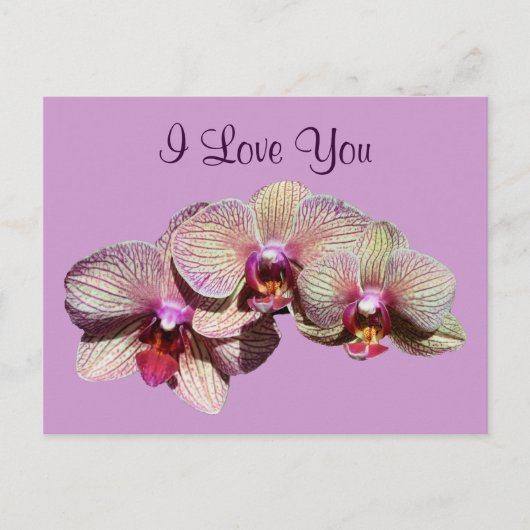 Ik hou van je orchidee Trio Flower Photo Briefkaar Briefkaart (Voorkant)