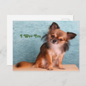 Ik hou van je puppy Dog-groeten Briefkaart (Voorkant / Achterkant)