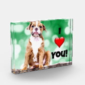 Ik hou van je, puppy foto, acrylfotoblok fotoblokken (Links)