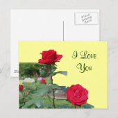 Ik hou van je rode rozen die bloemen foto-Briefkaa Briefkaart (Voorkant / Achterkant)