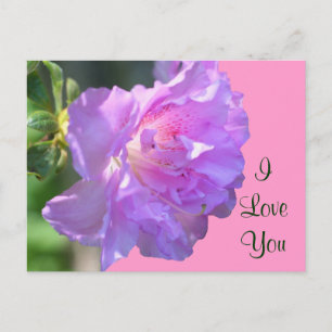 Ik hou van je roze Azalea Flower Photo Briefkaart