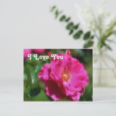 Ik hou van je roze roze Briefkaart (Staand voorkant)