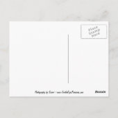 Ik hou van je roze roze Briefkaart (Achterkant)