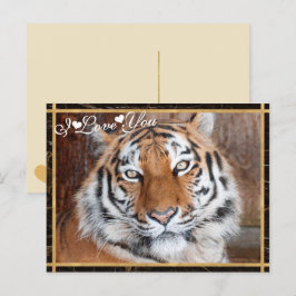 Ik hou van je tijger foto-Afbeelding Briefkaart