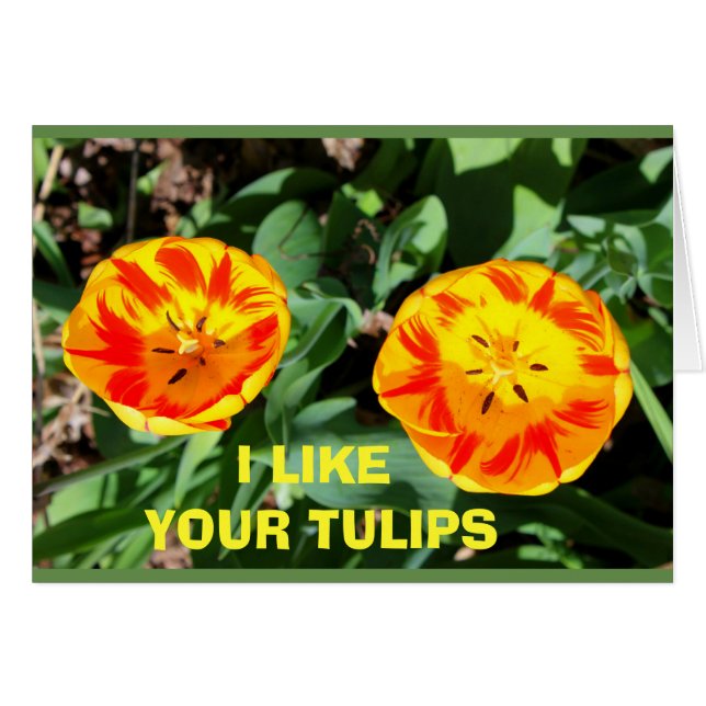 Ik hou van je tulpen naast de mijne! (Voorkant Horizontaal)