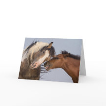 "Ik hou van je vader" Note Card