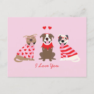 Ik hou van je Valentijnse Amerikaanse Pit Bull Ter Briefkaart