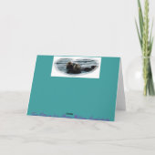 Ik hou van je Zee otter Wenskaart Kaart (Achterkant)