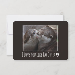 Ik Hou Van Jou Als Geen Andere Otter Mooie Foto