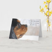 Ik Hou Van Jou Cavalier King Charles Spaniel Kaart (Gele Bloem)