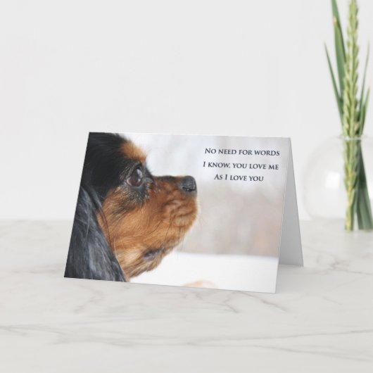 Ik Hou Van Jou Cavalier King Charles Spaniel Kaart (Voorkant)