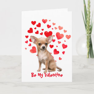 Ik Hou Van Jou Chihuahua Hond Valentijn Feestdagen Kaart