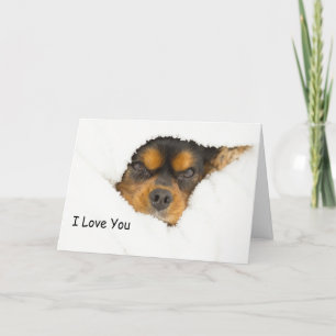 Ik hou van jou King Charles Spaniel die uitkomt gl Kaart