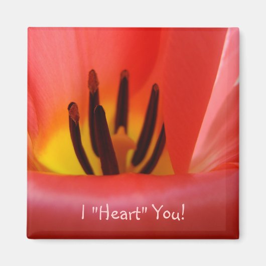 Ik "Hou" van Jou! magneet RODE Tulp Bloemen (Voorkant)