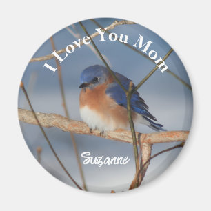 Ik hou van jou mama roodborstje gepersonaliseerd magneet