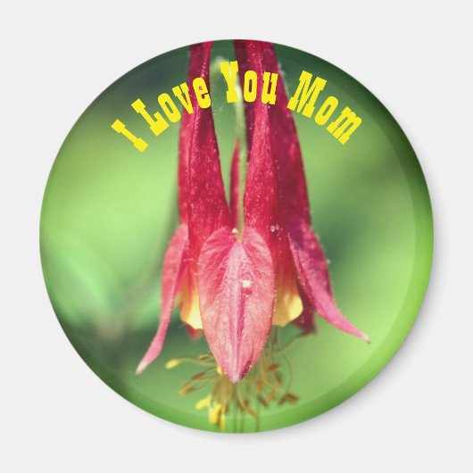 Ik hou van jou Moeder Columbine Bloem Magneet (Voorkant)