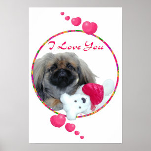 Ik Hou Van Jou Pekingese Puppy Poster