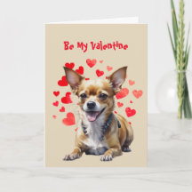 Ik Hou Van Jou Schattige Chihuahua Hond Valentijns