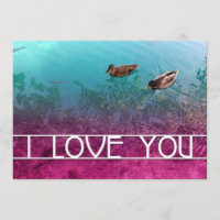 ik hou van jou vijver