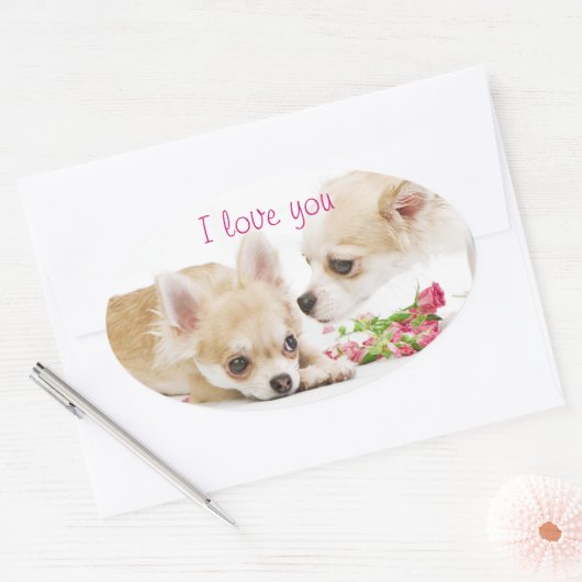 Ik hou van jullie Stickers (Envelop)