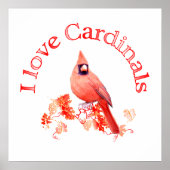 Ik hou van kardinalen poster (Voorkant)