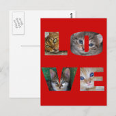 Ik hou van katten briefkaart (Voorkant / Achterkant)