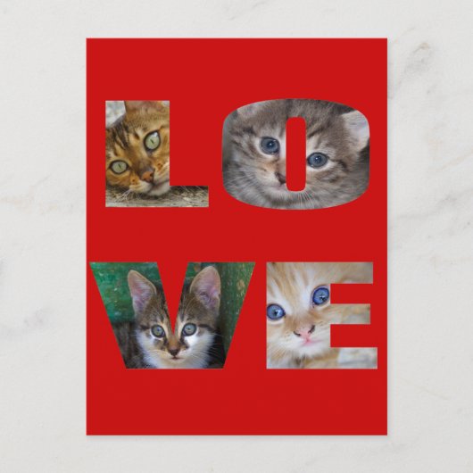 Ik hou van katten briefkaart (Voorkant)