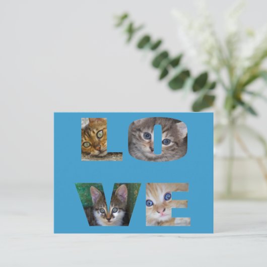 Ik hou van katten briefkaart (Staand voorkant)