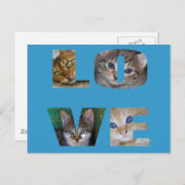 Ik hou van katten briefkaart (Voorkant / Achterkant)