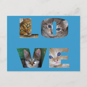 Ik hou van katten briefkaart