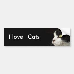 Ik hou van katten-bumper sticker
