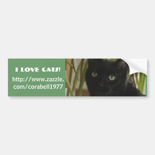 Ik hou van katten! bumpersticker (Voorkant)
