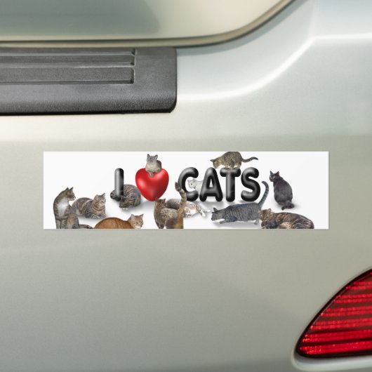 Ik hou van katten bumpersticker (Op auto)