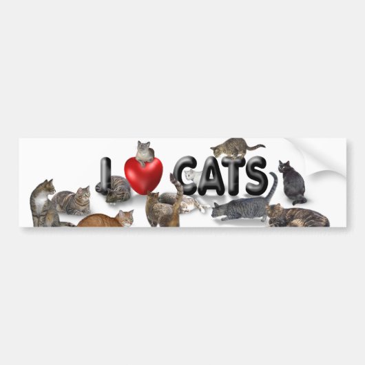 Ik hou van katten bumpersticker (Voorkant)