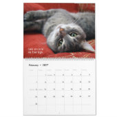 Ik hou van katten kalender (Feb 2027)