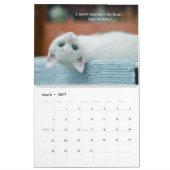 Ik hou van katten kalender (Mar 2027)
