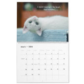 Ik hou van katten kalender (Mar 2026)