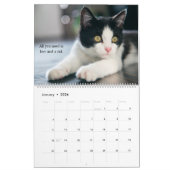 Ik hou van katten kalender (Jan 2026)