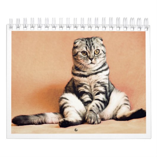 Ik hou van katten kalender 2026 (Hoes)