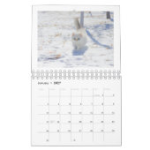 Ik hou van katten kalender 2026 (Jan 2027)