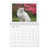 Ik hou van katten kalender 2026 (Mar 2027)