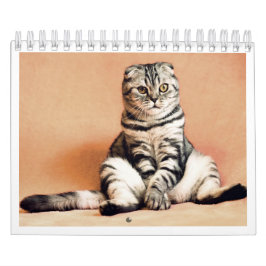 Ik hou van katten kalender 2026