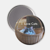 Ik hou van katten magneet (Voorkant / Achterkant)