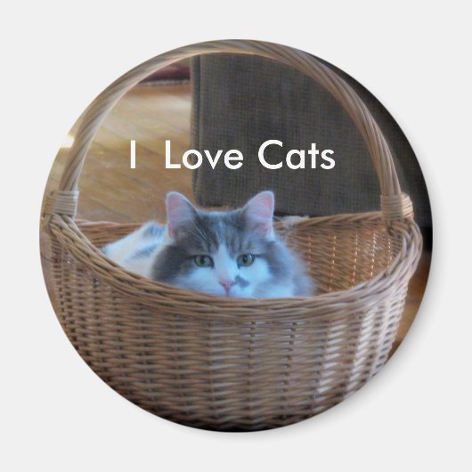 Ik hou van katten magneet (Voorkant)