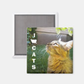 Ik hou van katten magneet (Voorkant / Achterkant)